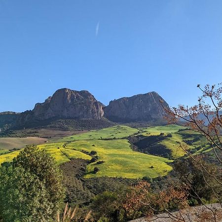Cortijo Sylvestre Bed & Breakfast Riogordo Luaran gambar