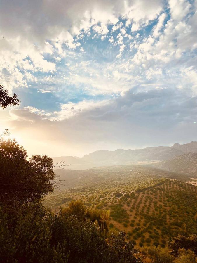 Cortijo Sylvestre Bed & Breakfast Riogordo Luaran gambar